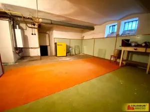 Prodej rodinného domu, Kyjov - Boršov, 90 m2