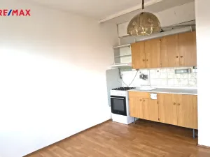 Pronájem bytu 1+1, Žatec, 40 m2