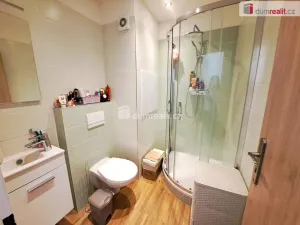 Prodej bytu 1+1, Ústí nad Labem - Ústí nad Labem-centrum, Stará, 36 m2