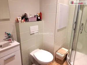 Prodej bytu 1+1, Ústí nad Labem - Ústí nad Labem-centrum, Stará, 36 m2