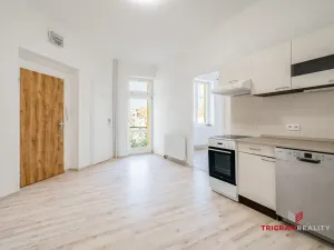 Pronájem bytu 3+1, Hradec Králové, Ulrichovo náměstí, 101 m2