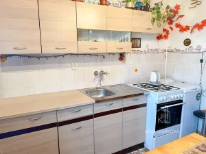 Prodej bytu 1+1, Hýsly, 34 m2