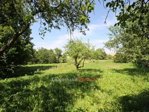 Prodej rodinného domu, Grešlové Mýto, 100 m2