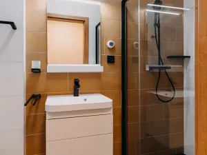 Pronájem apartmánu, Brno, Čechyňská, 30 m2