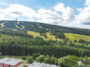 Prodej rodinného domu, Loučná pod Klínovcem, 195 m2