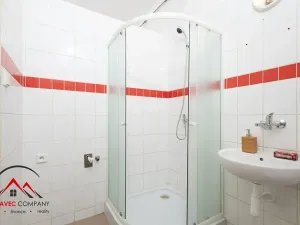 Pronájem bytu 1+1, Ostrava, Mariánskohorská, 36 m2