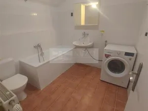Pronájem bytu 4+kk, Praha, U zeleného ptáka, 113 m2