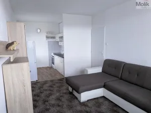 Pronájem bytu 2+kk, Bílina - Teplické Předměstí, Čapkova, 41 m2