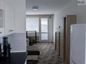 Pronájem bytu 2+kk, Bílina - Teplické Předměstí, Čapkova, 41 m2