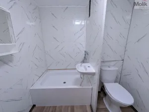 Pronájem bytu 2+kk, Bílina - Teplické Předměstí, Čapkova, 41 m2