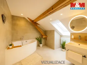 Prodej rodinného domu, Ostrava - Vítkovice, Holubova, 280 m2