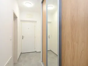 Pronájem bytu 2+kk, Praha, Remízková, 53 m2