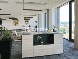 Pronájem kanceláře, Brno, 445 m2