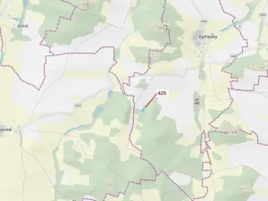 Dražba lesa, Kuřimany, 1719 m2