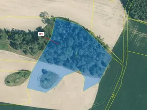 Dražba lesa, Manětín, 4801 m2