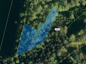 Dražba lesa, Zděchov, 2225 m2