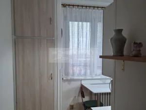 Pronájem bytu 1+1, Olomouc, Jungmannova, 42 m2