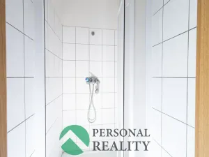 Prodej obchodního prostoru, Králův Dvůr - Levín, 411 m2