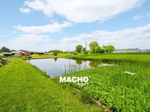 Prodej pozemku pro bydlení, Bernartice, Písecká, 4586 m2