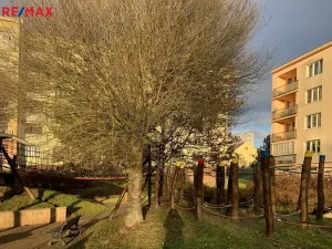 Pronájem bytu 1+kk, Rakovník, Pod Nemocnicí, 20 m2