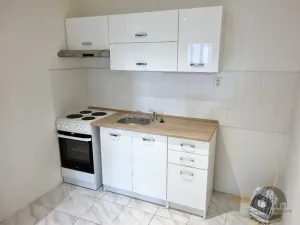 Pronájem bytu 2+1, Praha - Žižkov, Biskupcova, 51 m2