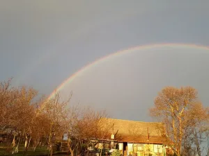 Prodej pozemku pro bydlení, Uhřice, 800 m2