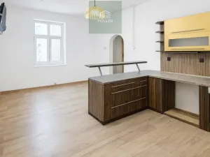 Pronájem bytu 2+kk, Plzeň, Klatovská třída, 52 m2