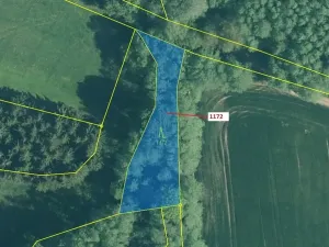 Dražba lesa, Kuřimany, 875 m2