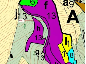 Dražba lesa, Bouzov, 1158 m2