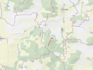 Dražba lesa, Kuřimany, 1722 m2