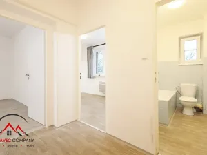 Pronájem bytu 1+1, Ostrava, Newtonova, 41 m2