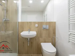 Pronájem bytu 1+kk, Ostrava, Cihelní, 17 m2