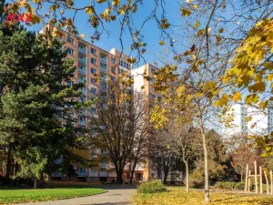 Prodej bytu 1+1, Brno - Řečkovice, Horácké náměstí, 44 m2