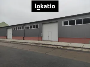 Pronájem skladu, Kralupy nad Vltavou, Trojanova, 950 m2