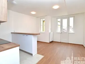 Pronájem bytu 1+kk, Praha - Vinohrady, Řipská, 30 m2