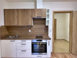 Pronájem bytu 1+kk, Olomouc, Lipenská, 31 m2