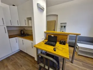 Pronájem komerční nemovitosti, Ústí nad Labem - Klíše, Masarykova, 35 m2