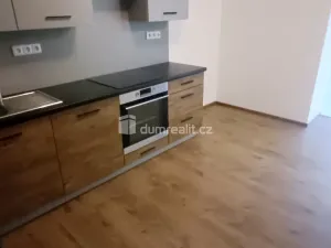 Pronájem bytu 2+kk, Ústí nad Labem - Ústí nad Labem-centrum, Elišky Krásnohorské, 65 m2