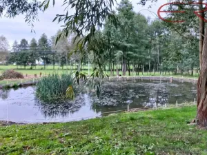 Prodej pozemku pro bydlení, Běleč, 945 m2