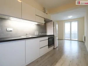 Pronájem bytu 2+kk, Nová Role, Svobodova, 39 m2