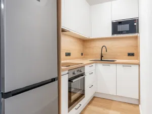 Pronájem bytu 2+kk, Praha - Žižkov, Malešická, 51 m2