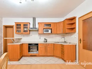 Pronájem rodinného domu, Louka, 110 m2