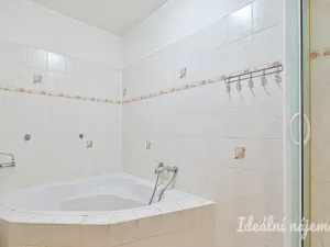 Pronájem rodinného domu, Louka, 110 m2