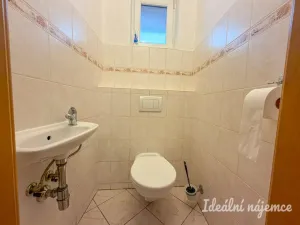 Pronájem rodinného domu, Louka, 110 m2