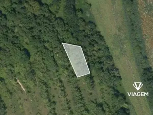 Prodej pole, Lovčice, 705 m2