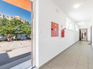 Pronájem bytu 2+kk, České Budějovice - České Budějovice 2, Krčínova, 71 m2