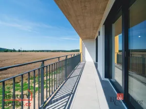 Prodej bytu 4+kk, Plzeň - Litice, 100 m2