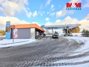 Prodej obchodního prostoru, Nová Role - Mezirolí, 120 m2