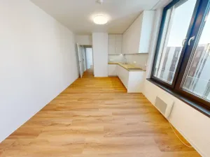 Pronájem bytu 2+kk, Praha - Břevnov, Na Větrníku, 35 m2