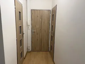 Pronájem bytu 2+1, Ústí nad Labem - Střekov, Tolstého, 63 m2